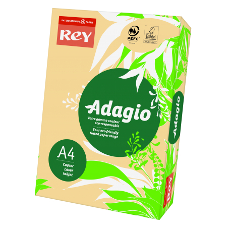 PAPIER KSERO A4/80G REY ADAGIO ŁOSOSIOWY