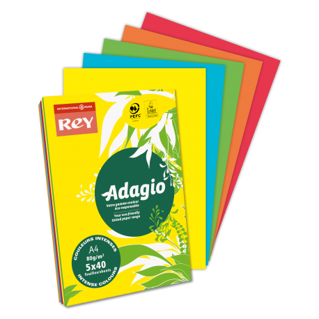 PAPIER KSERO A4/80G REY ADAGIO MIX INTENSYWNY 5X40